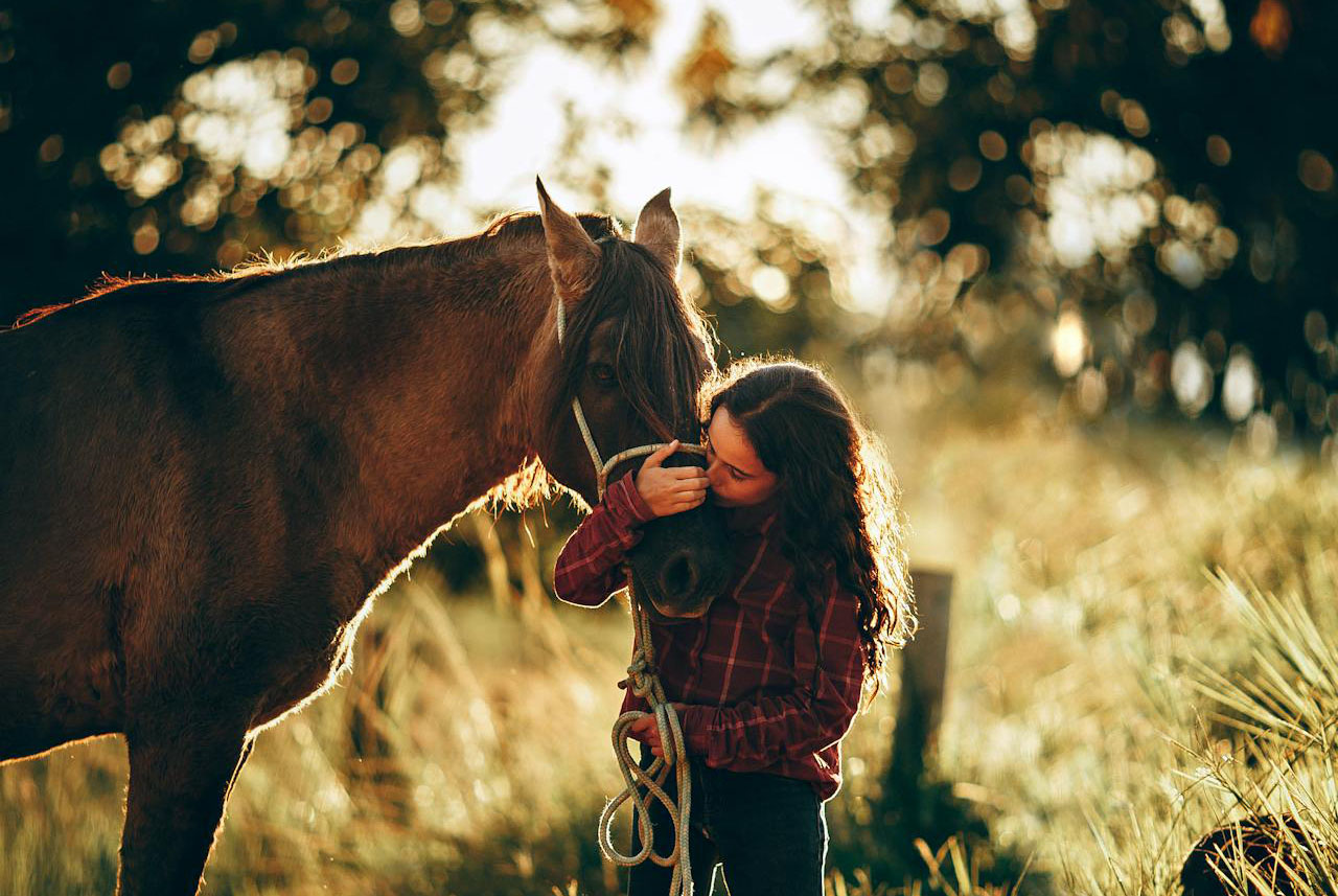 reittherapie-und-resilienz
